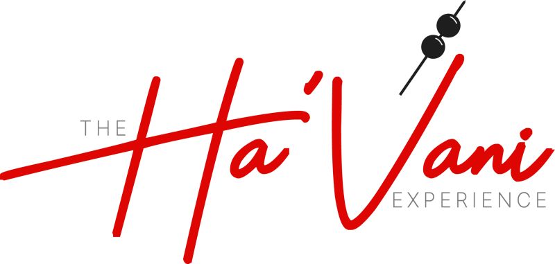 the havani experience logo full color rgb 4 1 800x381